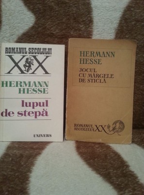 JOCUL CU MARGELE DE STICLA/LUPUL DE STEPA-HERMANN HESSE foto