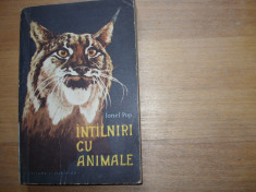 IONEL POP - INTALNIRI CU ANIMALE (1960, ilustrata, 361 pagini ) * foto