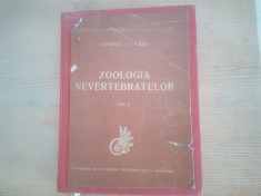 ZOOLOGIA NEVERTEBRATELOR - Gh.V. RADU, V.V. RADU foto