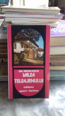 VALEA TELEAJENULUI , Gh. Niculescu , 1981 foto