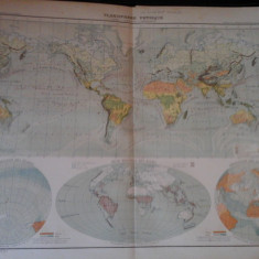 Harta color 37/46 cm -Planisphere 4 -Atlas de Geographie Moderne, Paris, 1901