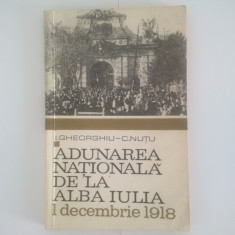 Adunarea Nationala de la Alba Iulia (1 decembrie 1918): I.Gheorghiu, C. Nutu