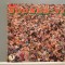 SOUNDS &rsquo;71 &ndash; Selectii &ndash; 2LP SET (1972/POLYDOR/RFG) - Prog Rock - Vinil/Impecabil