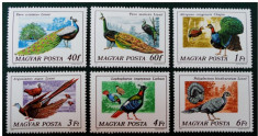 Ungaria, fauna, pasari, 1976, MNH foto