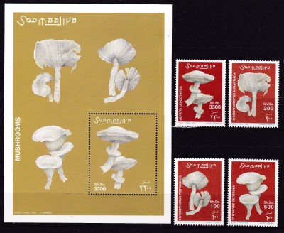 Somalia 2002 ciuperci MI 962-965 + bl. 94 MNH w51 foto