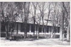 bnk foto - Tecuci - Scoala Nr. 10 Dimitrie Sturdza curtea interioara - anii `80