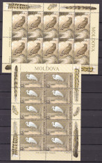 Moldova 2003 fauna pasari MI 481-484 miniblocuri de 10 serii MNH w51 foto