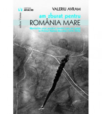 Am zburat pentru Romania Mare | Valeriu Avram foto