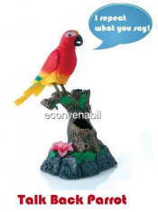 Papagal de jucarie din plastic repeta ceea ce i se spune foto