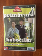 PRIMAVARA BOBOCILOR ? Mircea Moldovan (Filmele Adevarul) Nr. 3 IN TIPLA! + ... foto