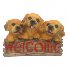 3 catei - Welcome 20x14 cm foto