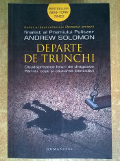 Andrew Solomon - Departe de trunchi foto