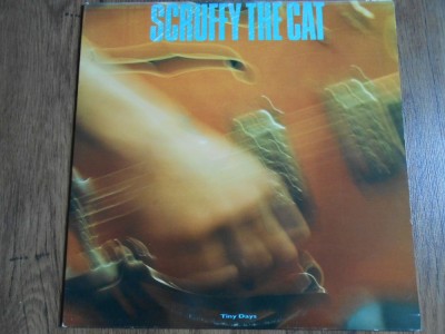LP Scruffy the Cat &amp;ndash; Tiny day foto