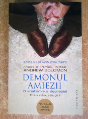 Andrew Solomon ? Demonul amiezii foto