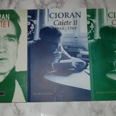 Emil Cioran - Caiete I 1957-1965 + Caiete II 1966-1968 + Caiete III 1969-1972