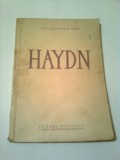 HAYDN ~ IULIU CONSTANTIN SPIRU