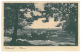 2131 - VULCAN, Hunedoara, Romania, Panorama - old postcard - unused, Necirculata, Printata