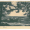 2131 - VULCAN, Hunedoara, Romania, Panorama - old postcard - unused