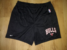 Pantaloni scurti Nike NBA Chicago Bulls marimea L foto