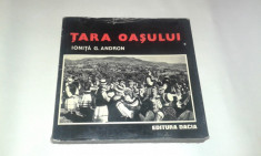 IONITA G.ANDRON - TARA OASULUI foto