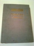 ORIGINEA OMULUI ~ M. F. NESTURH