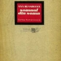 Ana Blandiana - Somnul din somn