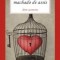 Dom Casmurro - de MACHADO DE ASSIS