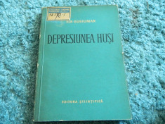 Depresiunea Husi, Ion Gugiuman. Ed. Stiintifica, 1959 foto