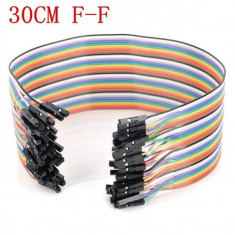 10 fire la 30cm female-female / Cabluri mama-mama, cable dupont Arduino foto
