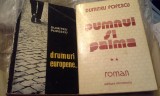 PUMNUL SI PALMA /DRUMURI EUROPENE DE DUMITRU POPESCU