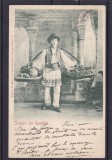 SALUTARI DIN ROMANIA VANZATOR DE FRUCTE CLASICA CIRCULATA 1902