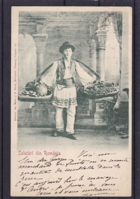 SALUTARI DIN ROMANIA VANZATOR DE FRUCTE CLASICA CIRCULATA 1902 foto