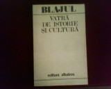 Blajul , vatra de istorie si cultura, ed. princeps, Alta editura