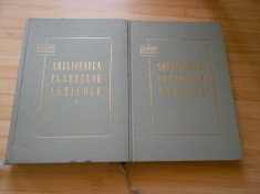 N. CEAPOIU--AMELIORAREA PLANTELOR AGRICOLE - 2 VOL. - 1960 foto