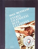 UTERUL CICATRICEAL DUPA CEZARIANA, 1985