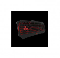 Asus Tastatura Cerberus 90Yh0131-B2Ua00 foto