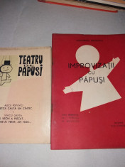 TEATRU DE PAPUSI SI IMPROVIZATII CU PAPUSI foto