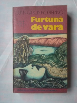 (C376) JUAN GARCIA HORTELANO - FURTUNA DE VARA foto