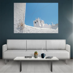 Tablou Canvas Spider, Dimensiunea 50 x 30 cm foto