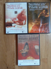 3 DVD-uri Valizele lui Tulse Luper - regia Peter Greenaway foto