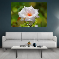 Tablou Canvas Flowers, Dimensiunea 50 x 30 cm foto