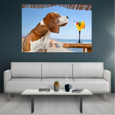 Tablou Canvas Beagle, Dimensiunea 100 x 70 cm foto