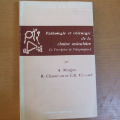 Pathologie et chirurgie de la chaine ossiculaire Morgon Charachon Chouard 057