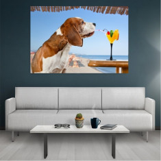 Tablou Canvas Beagle, Dimensiunea 80 x 50 cm foto