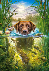 Puzzle Castorland - 500 de piese - Swimming Dog foto
