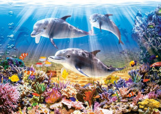 Puzzle Castorland 500 Doplphins Underwater foto