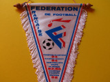 Fanion fotbal - Federatia din FRANTA