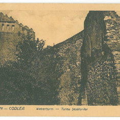 762 - CODLEA, Brasov, Romania, Turnul tesatorilor - old postcard - unused