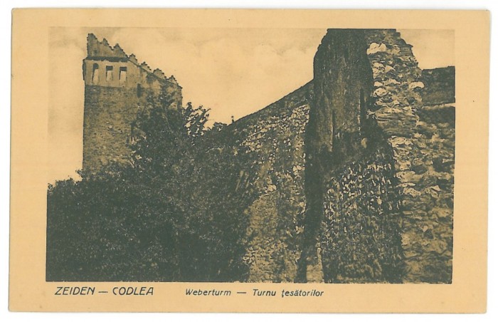 762 - CODLEA, Brasov, Romania, Turnul tesatorilor - old postcard - unused