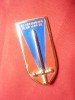 Insigna Militara Franceza -Ils s'instruisent pour vaincre -Spada-Arthus Bertrand